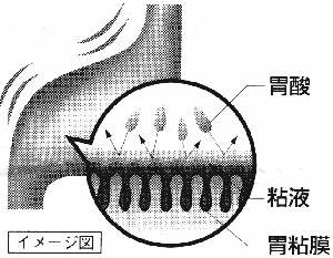 胃のイメージ図